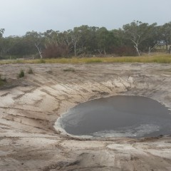 DAM1.jpg