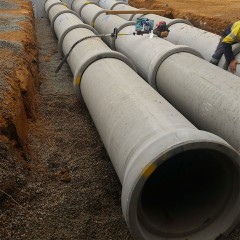 norwood-6.jpg